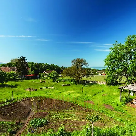Chateau Rochefort Bed & Breakfast
