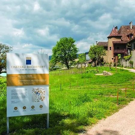 Chateau Rochefort