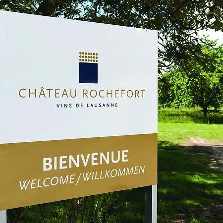 Chateau Rochefort Готель типу 