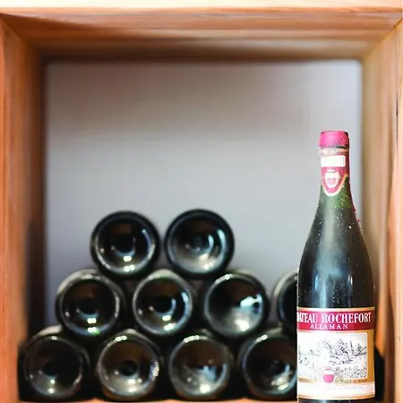 Chateau Rochefort Готель типу 